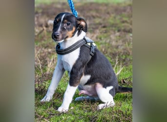 Flopp SI - aktiv, verspielt