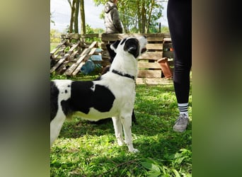 Feco VA, freundlich und sehr lustig