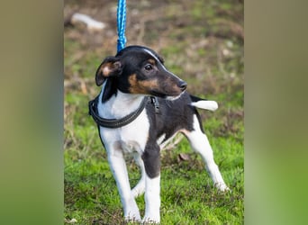 Flopp SI - aktiv, verspielt