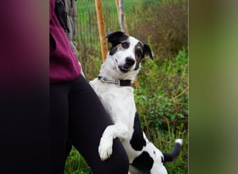 Feco VA, freundlich und sehr lustig