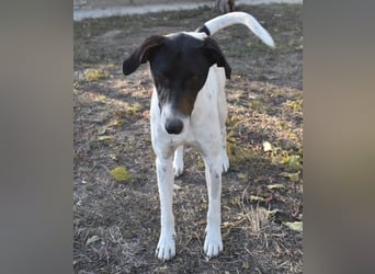 Móric - Wirbelwind voller Lebensfreude