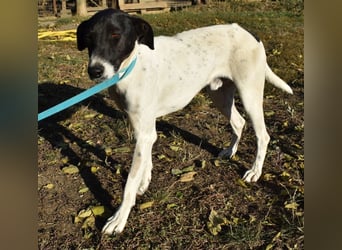 Móric - Wirbelwind voller Lebensfreude