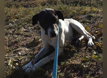 Móric - Wirbelwind voller Lebensfreude