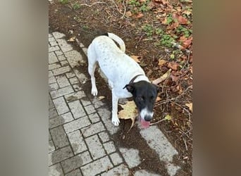 Móric - Wirbelwind voller Lebensfreude