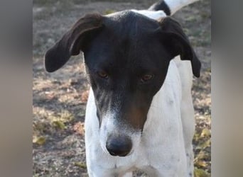 Móric - Wirbelwind voller Lebensfreude