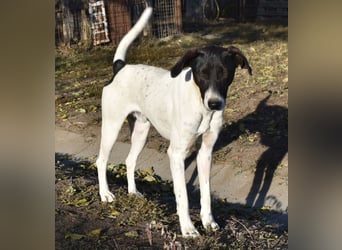 Móric - Wirbelwind voller Lebensfreude