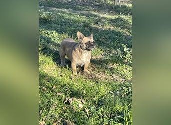 zauberhafte Elza sucht ihr Glück