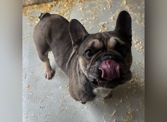 JACK MÖCHTE EINZELPRINZ SEIN