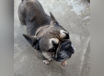 JACK MÖCHTE EINZELPRINZ SEIN