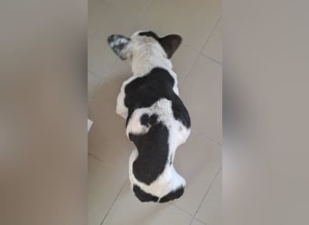 VINCENT KÄMPFT SICH ZURÜCK