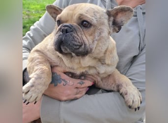 Lara sucht ihre Herzensmenschen