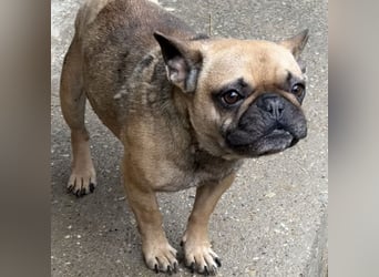 KÖKI HAT VIEL DURCHGEMACHT