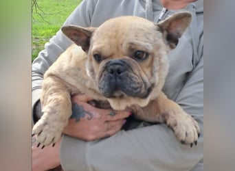 Lara sucht ihre Herzensmenschen