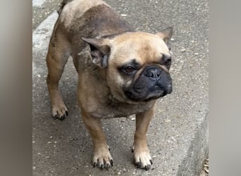 KÖKI HAT VIEL DURCHGEMACHT