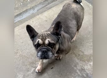 JACK MÖCHTE EINZELPRINZ SEIN