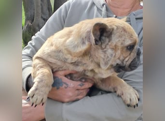 Lara sucht ihre Herzensmenschen