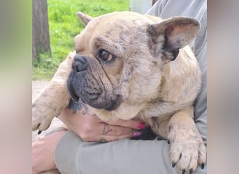 Lara sucht ihre Herzensmenschen