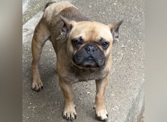 KÖKI HAT VIEL DURCHGEMACHT