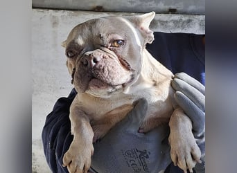 OFELIA SUCHT EIN NEUES KAPITEL