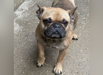 KÖKI HAT VIEL DURCHGEMACHT