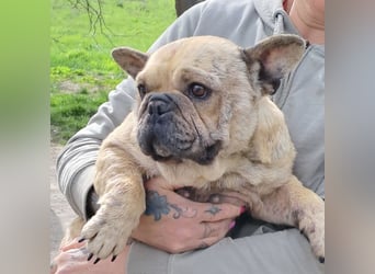 Lara sucht ihre Herzensmenschen