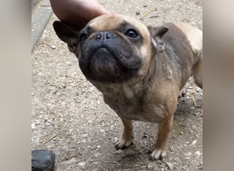 KÖKI HAT VIEL DURCHGEMACHT