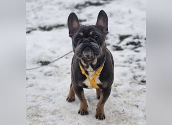 Ilma zeigt sich sehr kooperativ