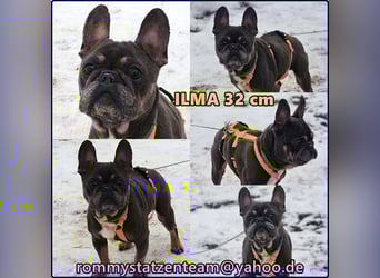 Ilma zeigt sich sehr kooperativ