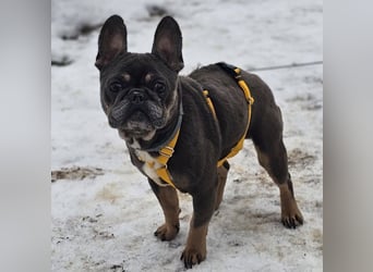 Ilma zeigt sich sehr kooperativ