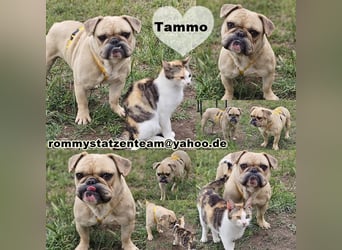 Tammo möchte die Welt kennen lernen