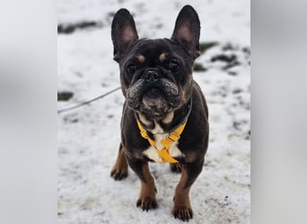 Ilma zeigt sich sehr kooperativ