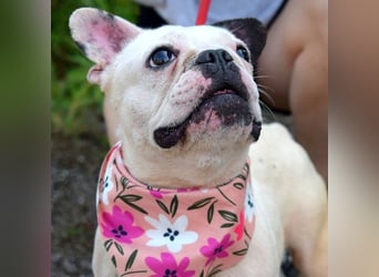 Ginny sucht liebe und geduldige Menschen