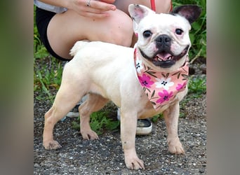 Ginny sucht liebe und geduldige Menschen