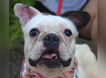 Ginny sucht liebe und geduldige Menschen
