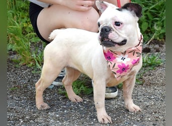 Ginny sucht liebe und geduldige Menschen