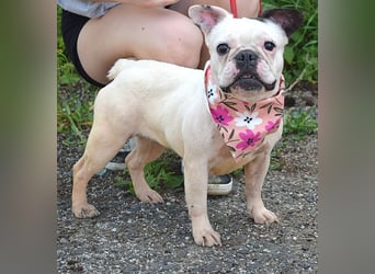 Ginny sucht liebe und geduldige Menschen