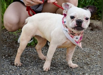 Ginny sucht liebe und geduldige Menschen