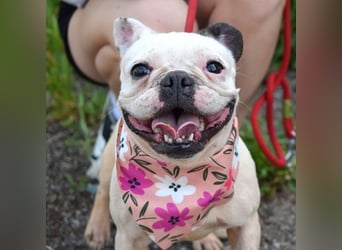 Ginny sucht liebe und geduldige Menschen