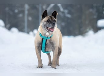 Freundliche Juta sucht liebevolles Zuhause