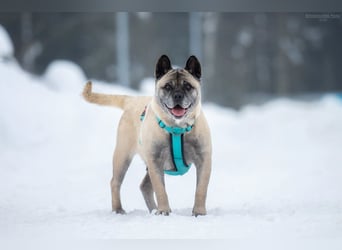 Freundliche Juta sucht liebevolles Zuhause