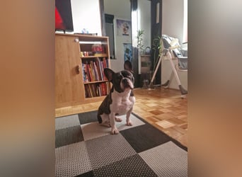 Neo - sucht ein liebevolles Zuhause