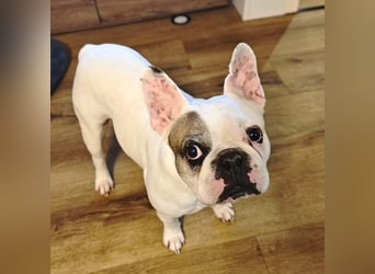 Deejay - ist genügsam