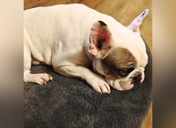 Deejay - ist genügsam