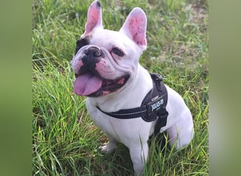 Deejay - ist genügsam