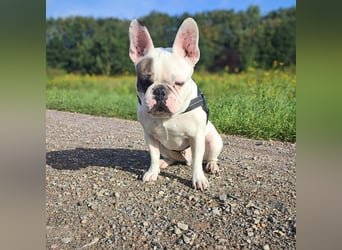 Deejay - ist genügsam