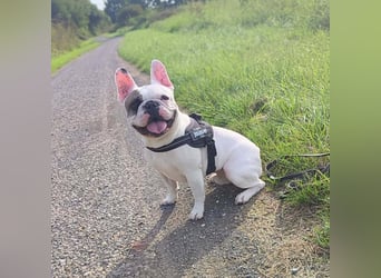 Deejay - ist genügsam