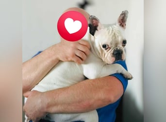 Lulu - ist ausgeglichen