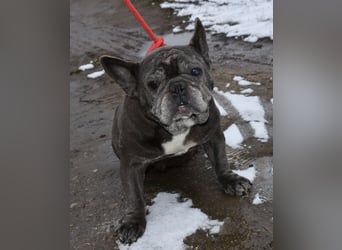 Fleur - ausgenutzt und entsorgt!