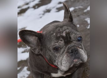 Fleur - ausgenutzt und entsorgt!