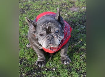 Fleur - ausgenutzt und entsorgt!